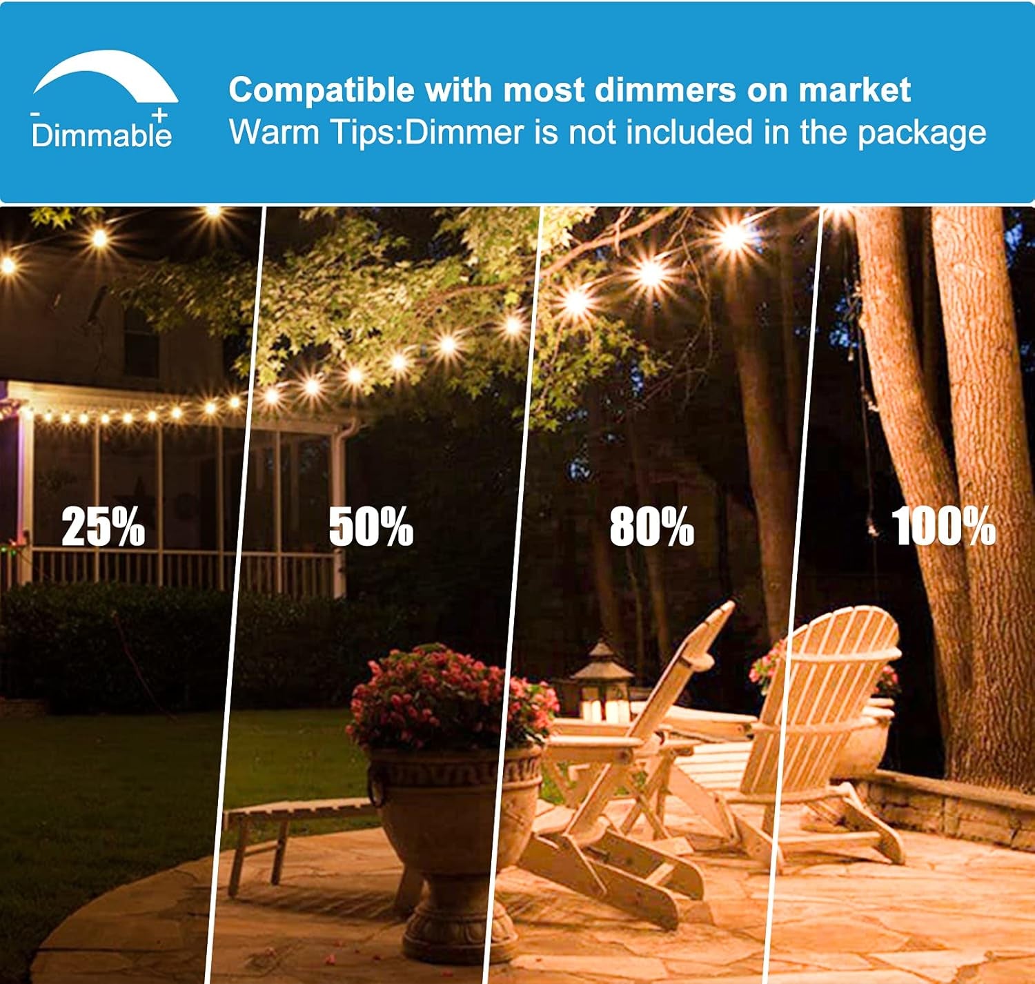 G40 Globe String Lights 2700K with 52 Edison Glass Bulbs(2 Spare)